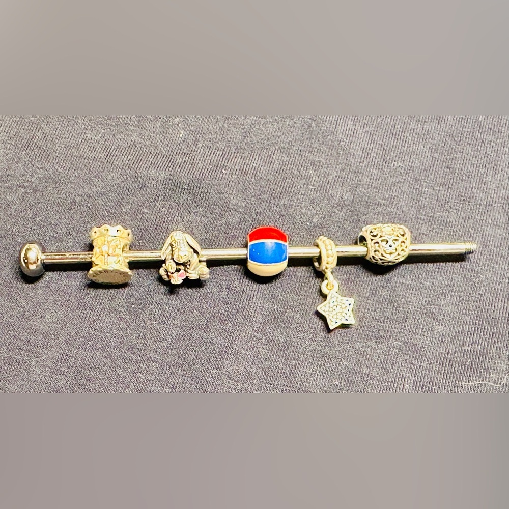 Pandora Silver Charms ( for theme parks)